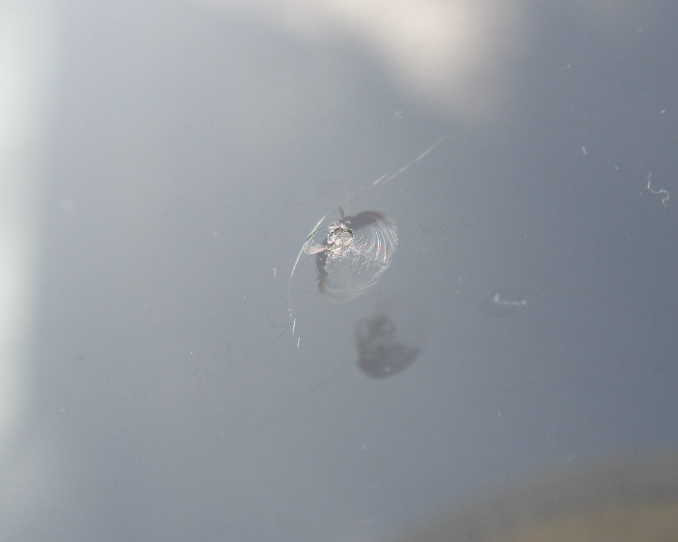 車フロントガラス　飛び石傷